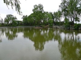天成湖景色